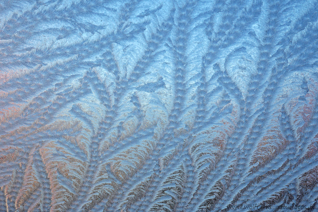 Eisblumen