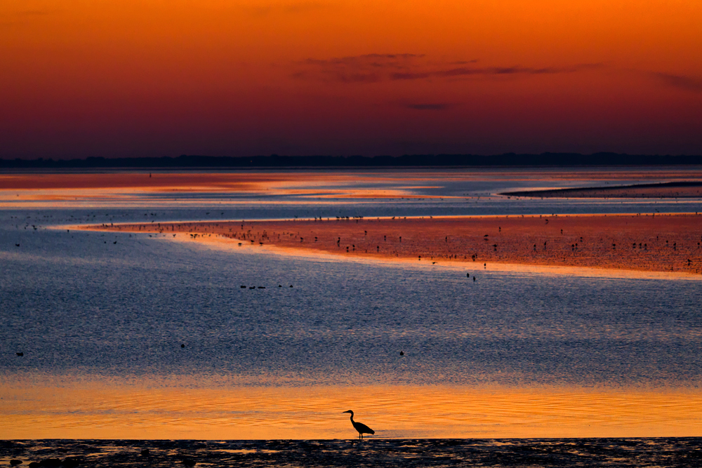 ~ Ein Abend an der Nordsee ~