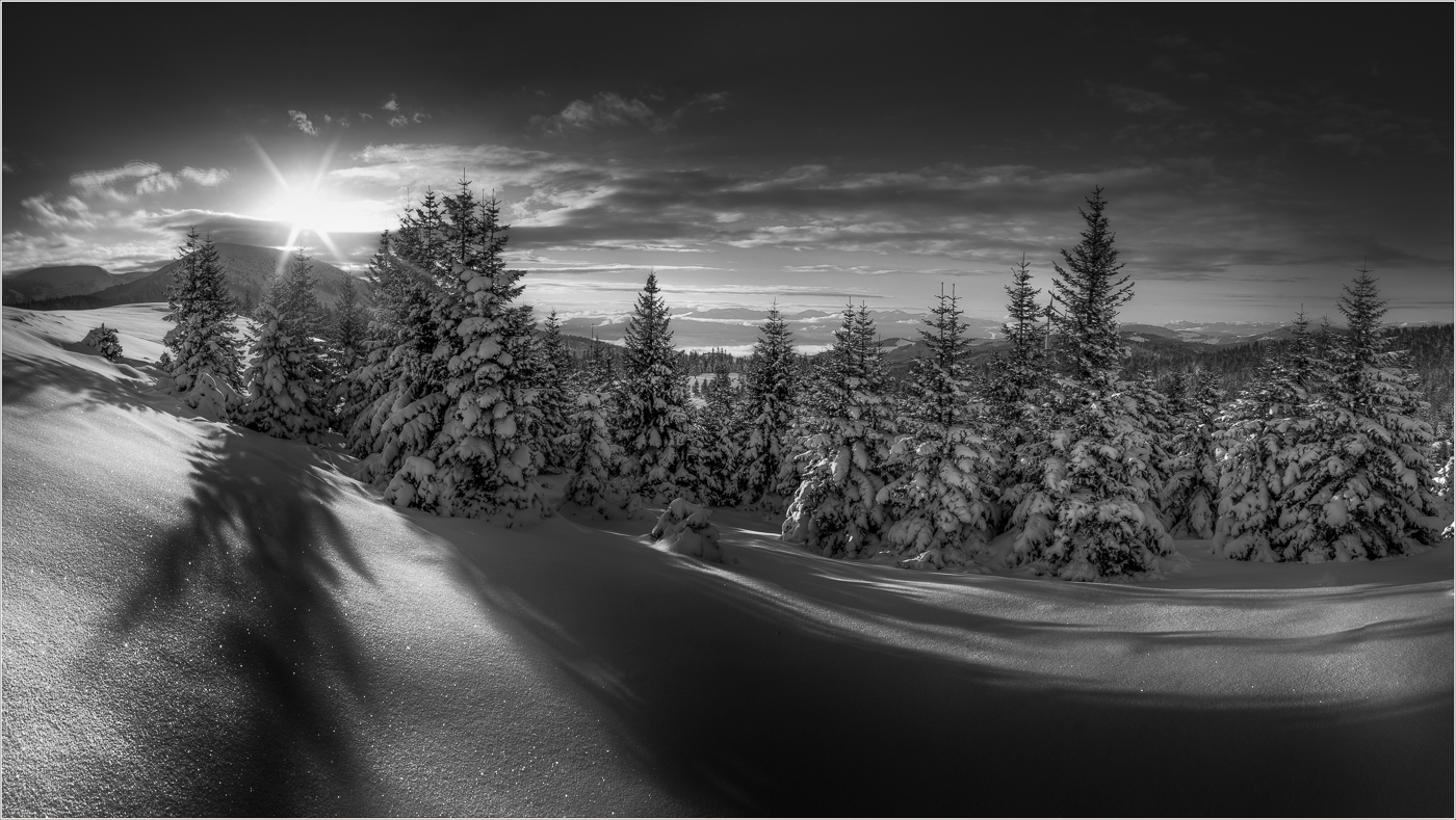 Winter in SW