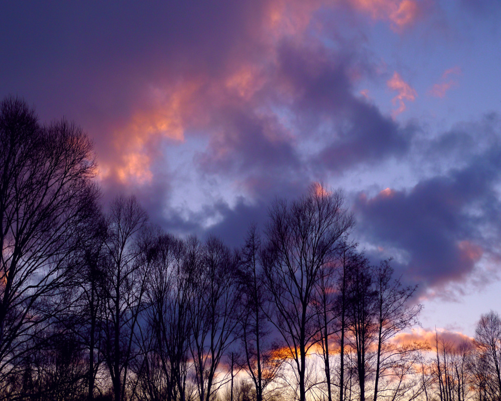 Abendhimmel über dem Spreewald