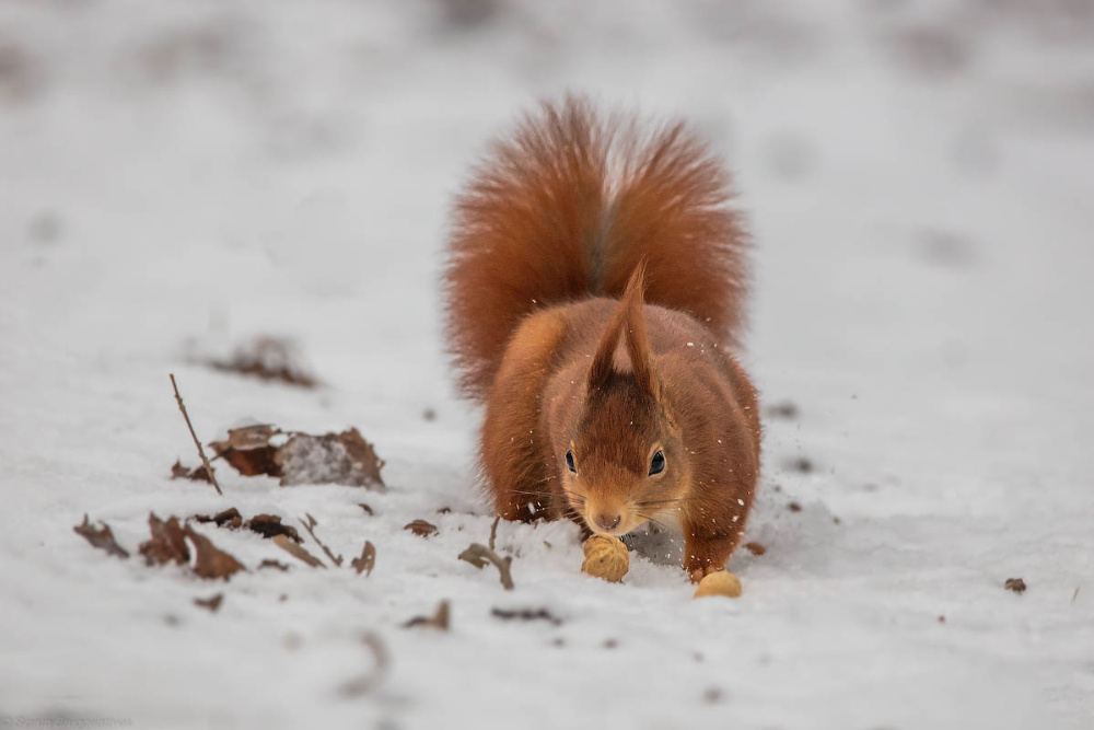 Endlich Schnee! :-)