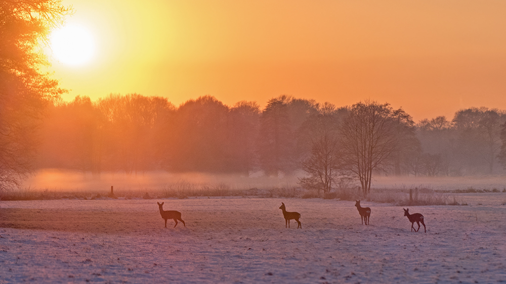 Ein schöner Wintertag geht zu Ende.