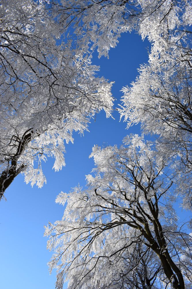 Winter im Vogelsberg
