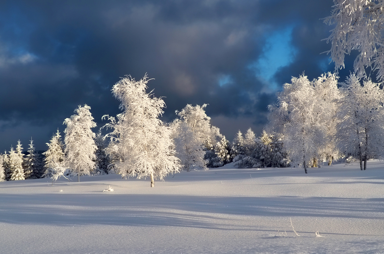 Winterlandschaft-2