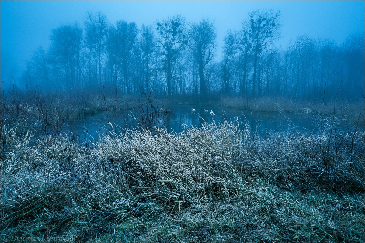 ~Cold Blue~