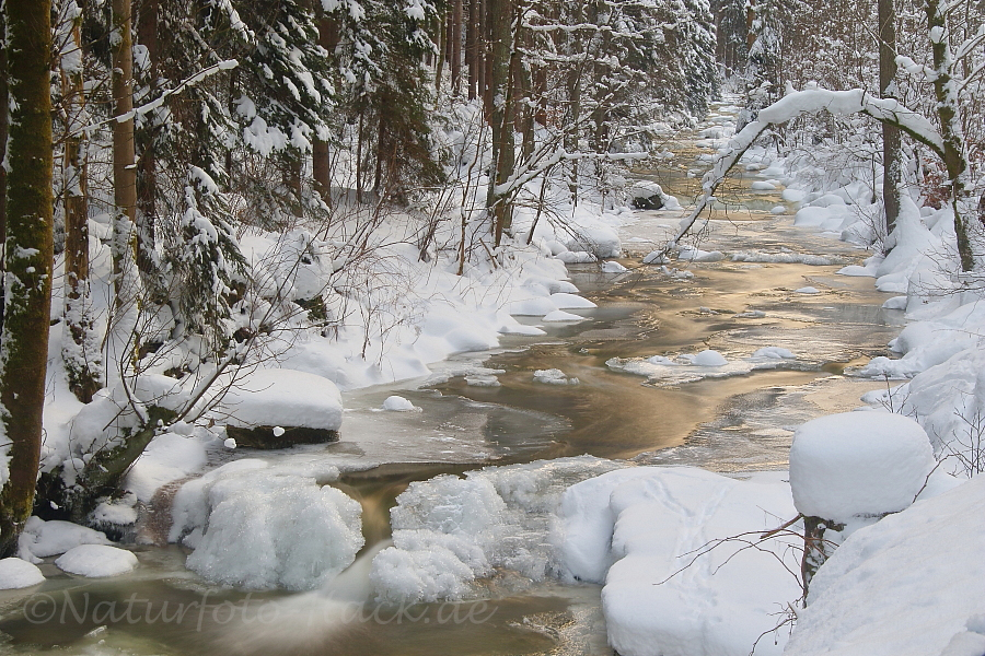 Der goldene Fluss