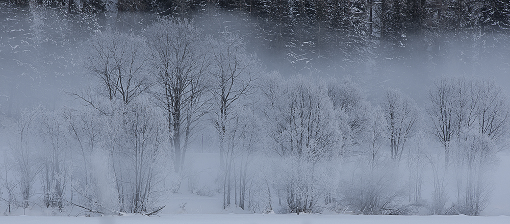 Raureif im Engadin am Inn