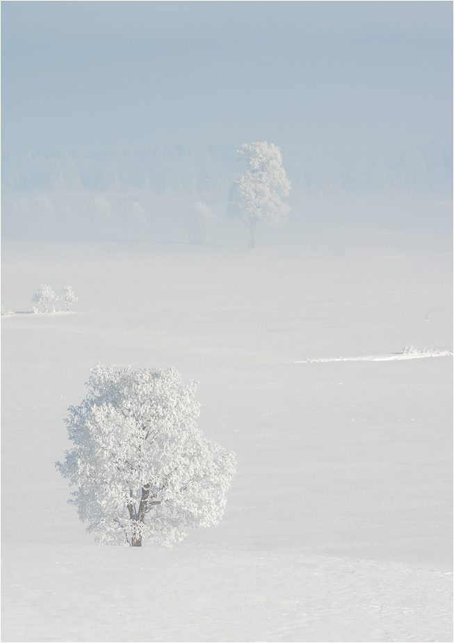 °°° eiskalt °°°