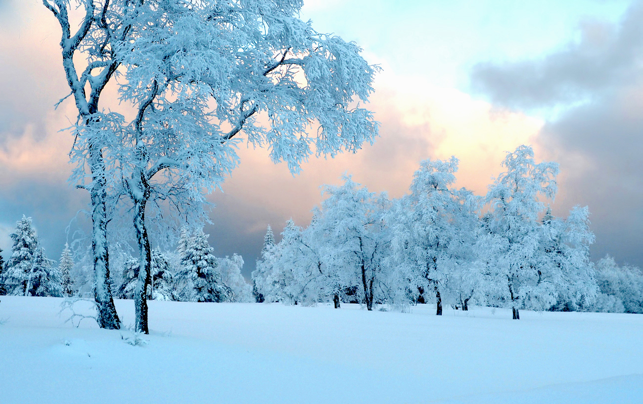 Winterfarben