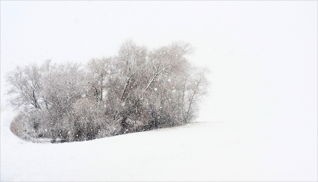 Schneetreiben