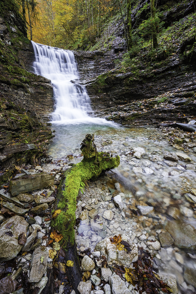 Herbst an der Taugl