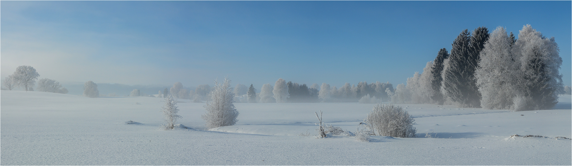 °°° Winterwonderland °°°