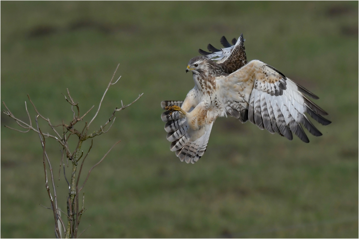 Landeanflug