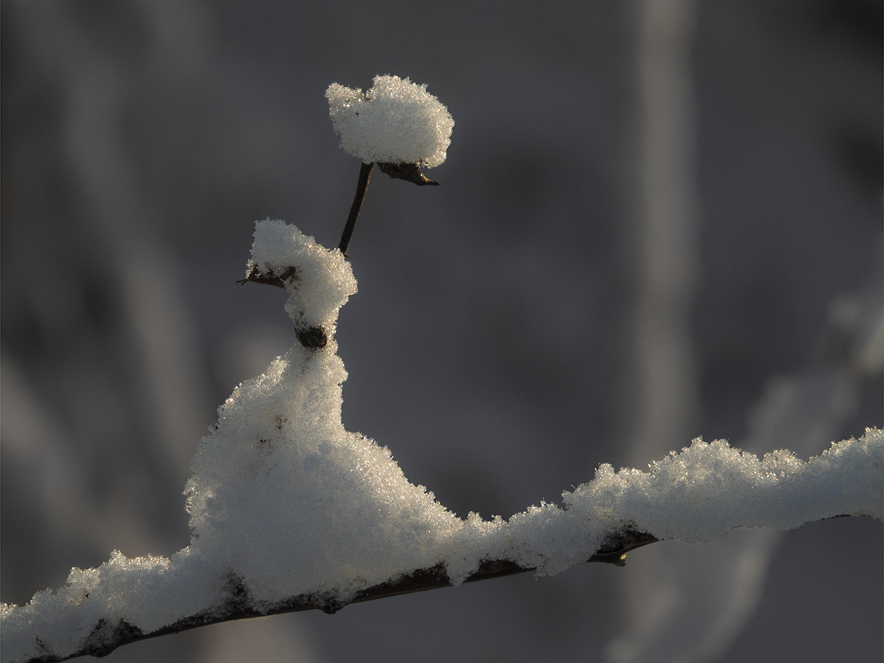 In Schnee gekleidet...