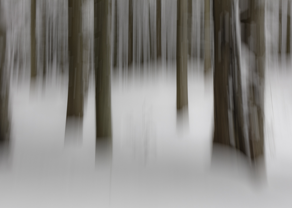 Schneesumpf