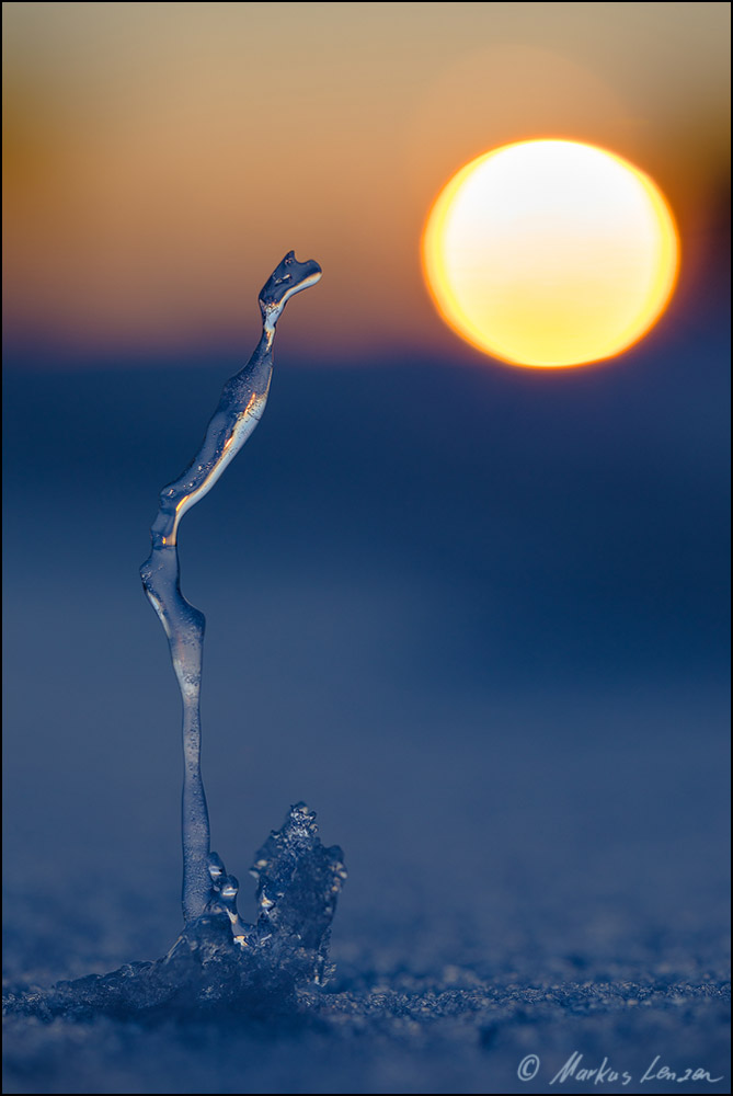 Die kleine Eisfahne
