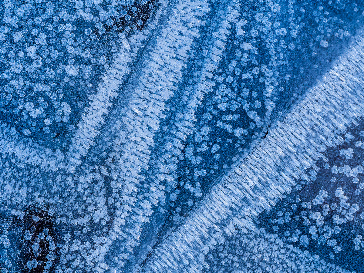 Eis (Forum für Naturfotografen)