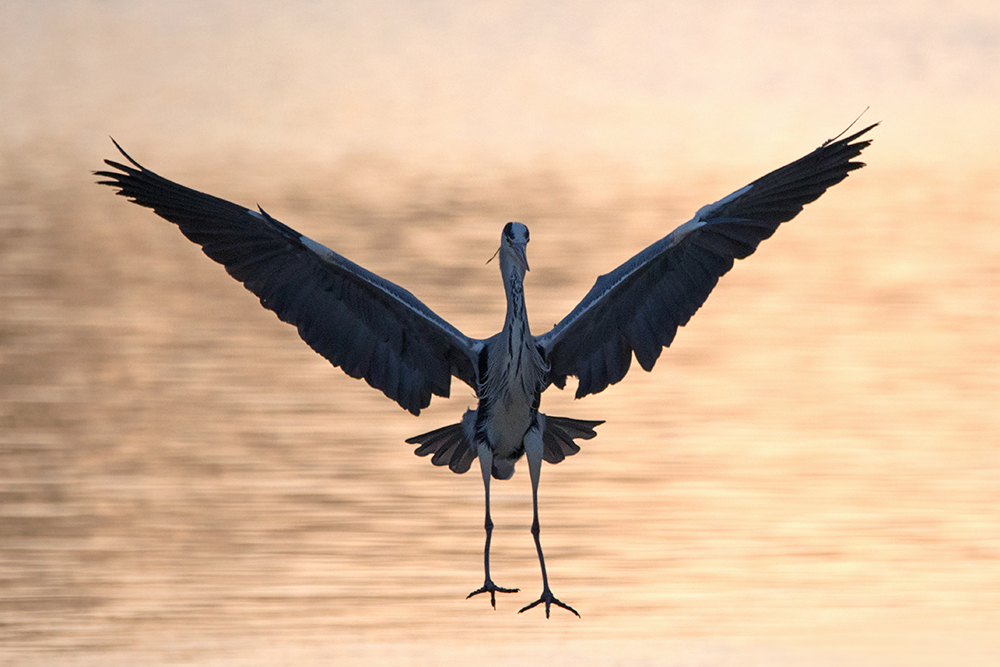 Landeanflug