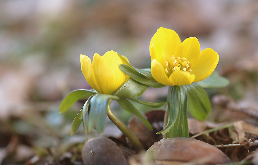 Uns gefällt es hier, Frühling 2013