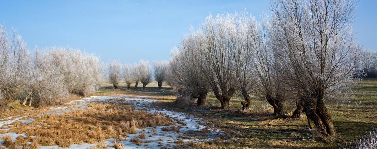 Menschgemachte Landschaft mit Eiszeitbezug...