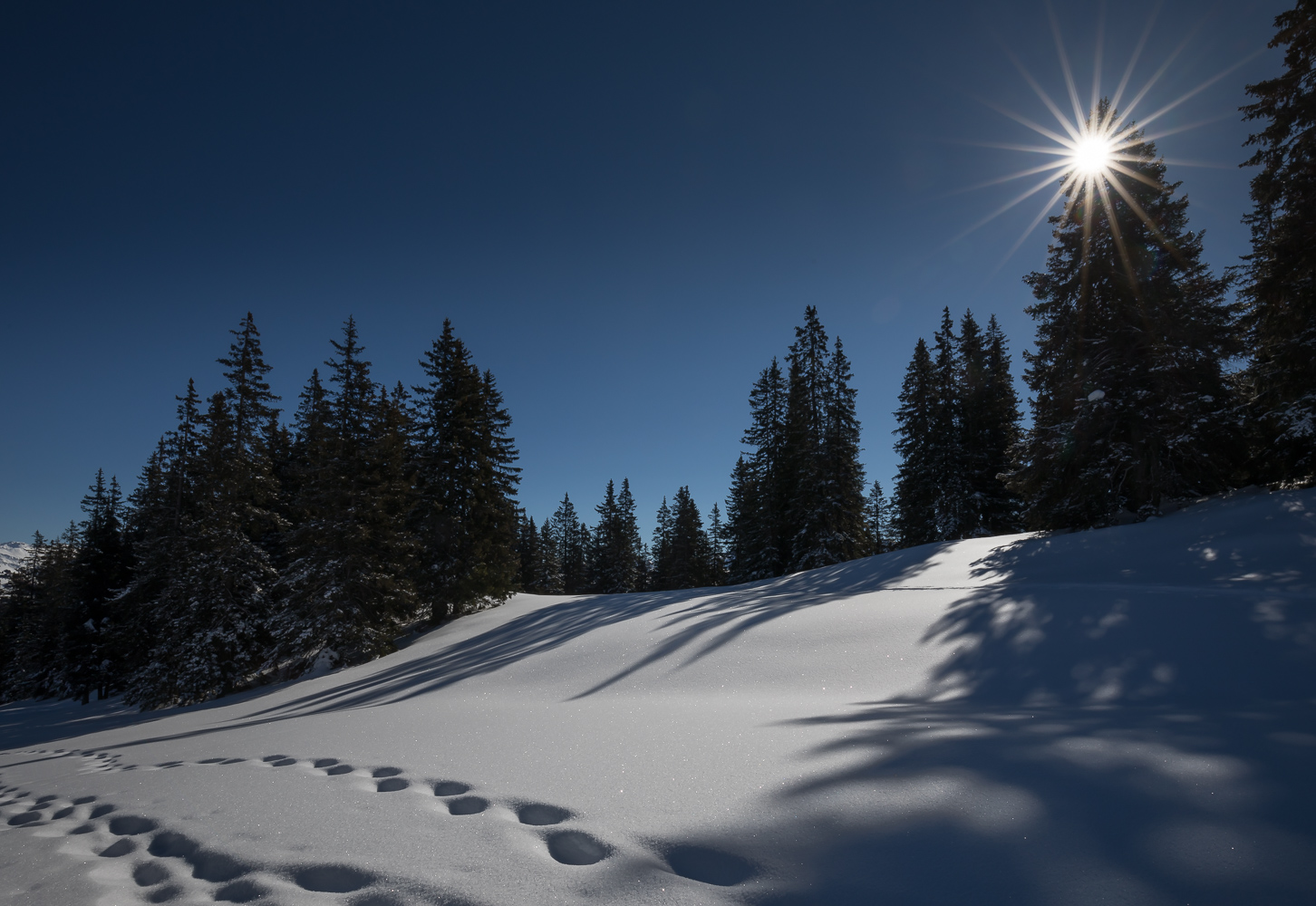 Winterlandschaft