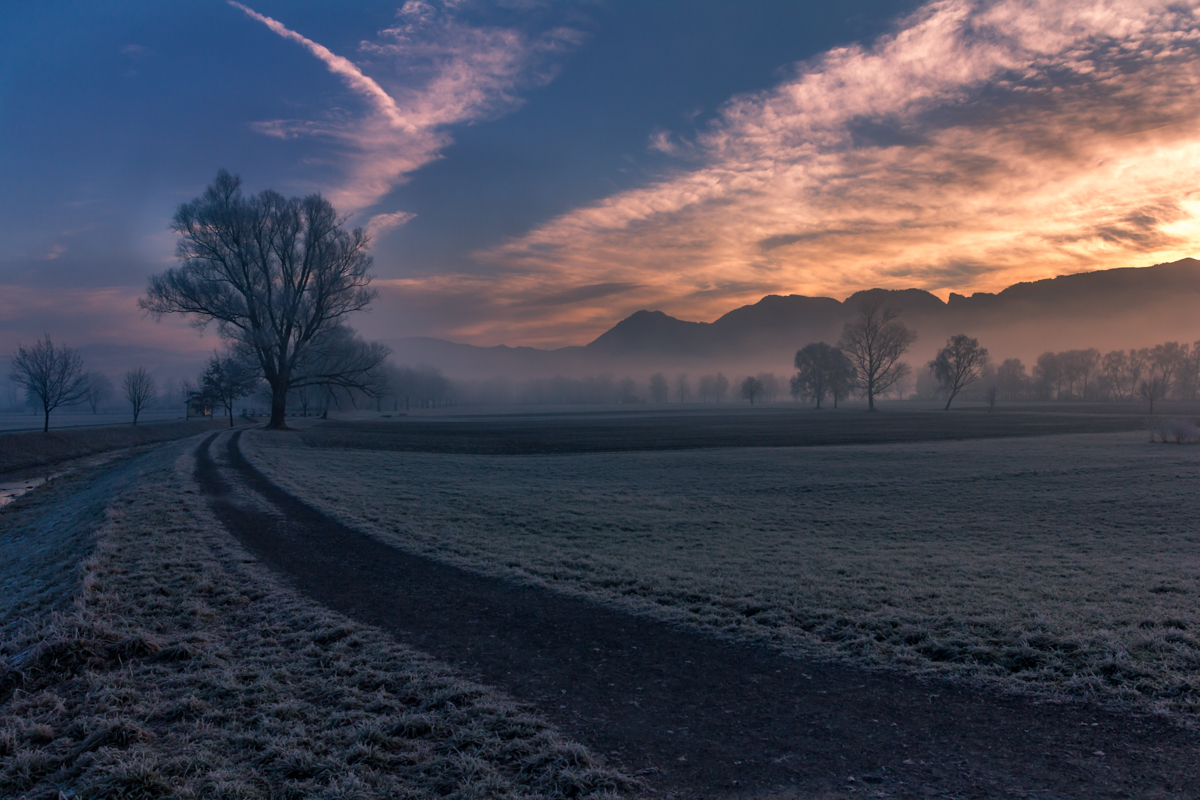 Nebelstimmung im Rheintal