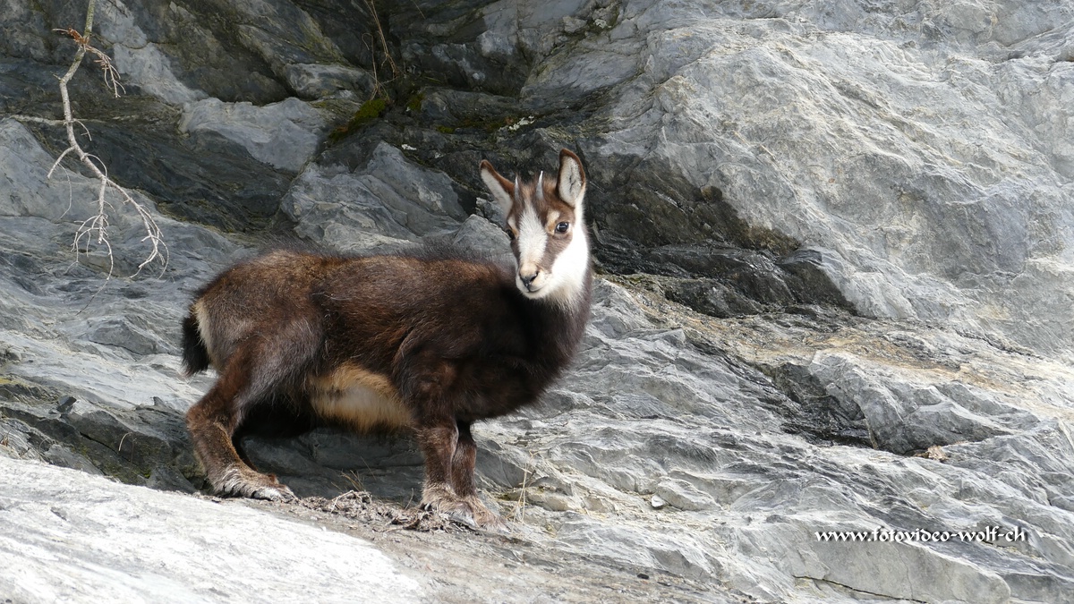 Klein aber unglaublich Geländegängig