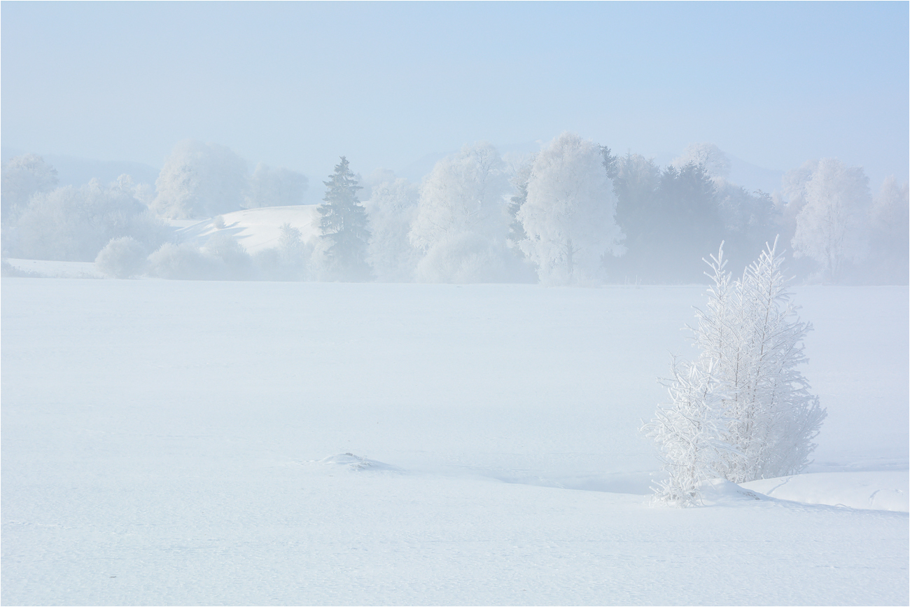 °°° Schnee von Gestern °°°