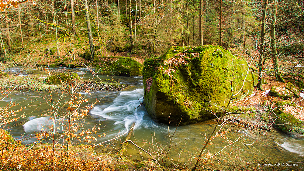 fast schon Frühling