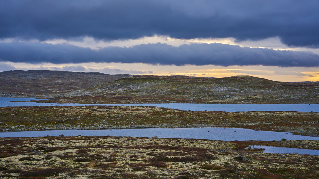 Hardangervidda