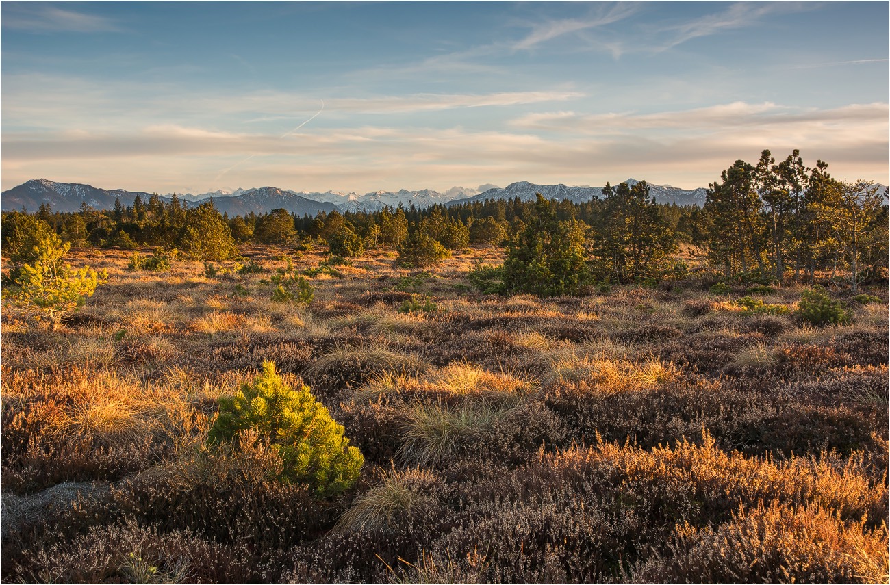 °°° Hochmoor mit Bergblick °°°