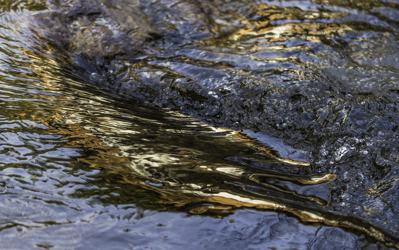 Wasserfarben