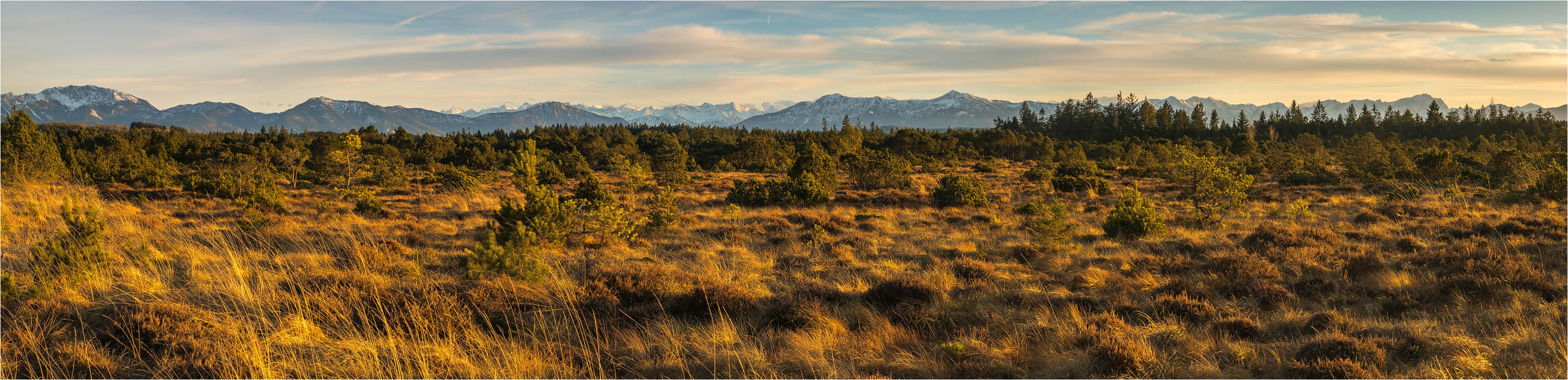 °°° golden landscape °°°