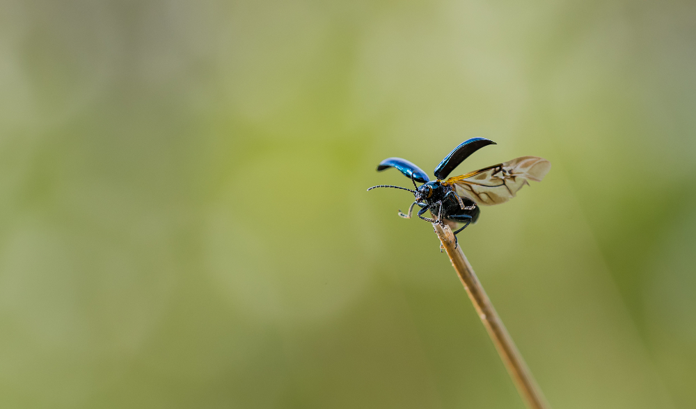 Abflug