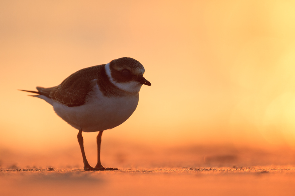 Sonnenuntergang am Strand