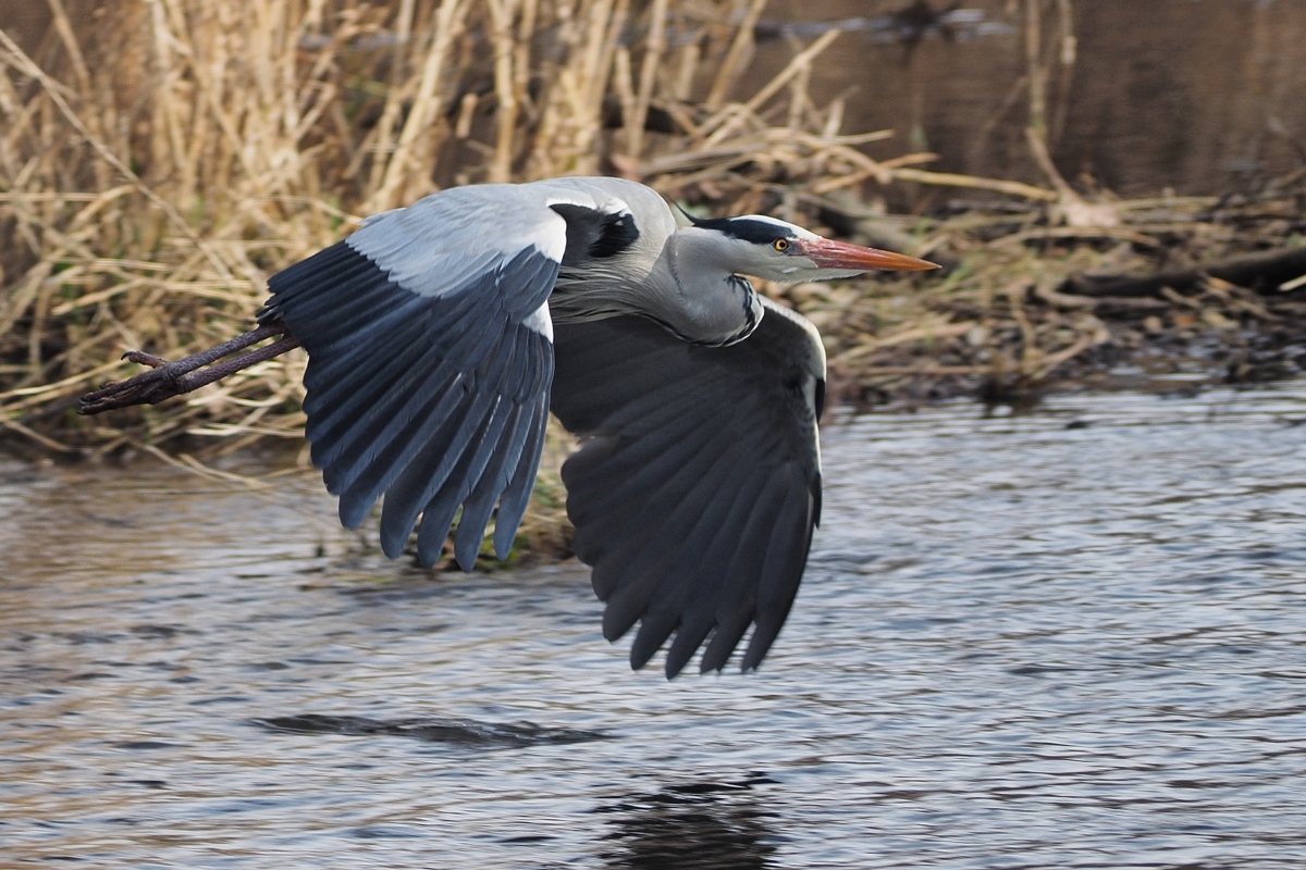 Langsamer Flug