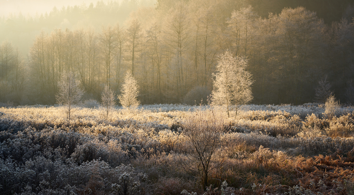 Wintersonne