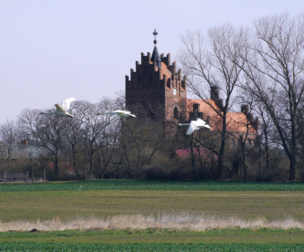 Schwanenflug...