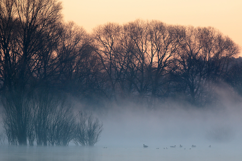 Morgenstimmung