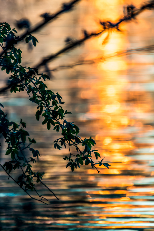 Sonnenuntergang am See