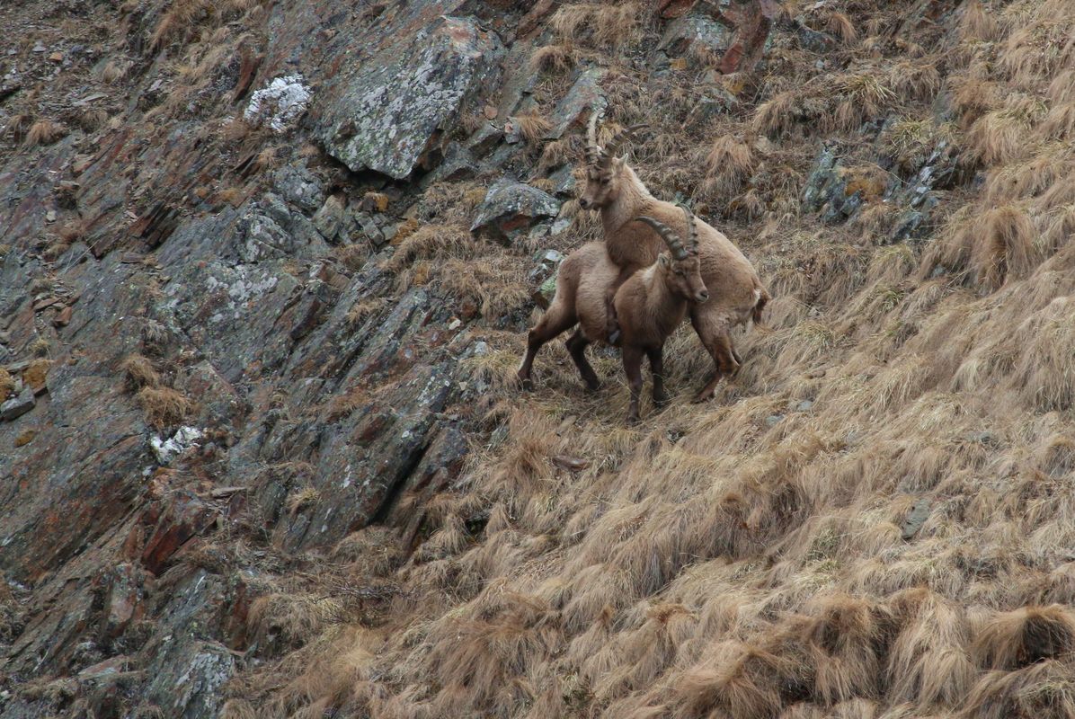 Im Schwitzkasten