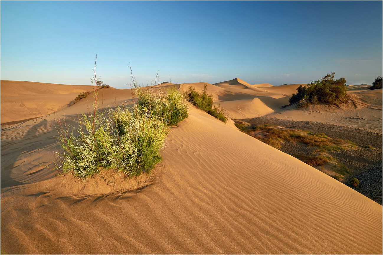 Es ist nicht die Sahara...