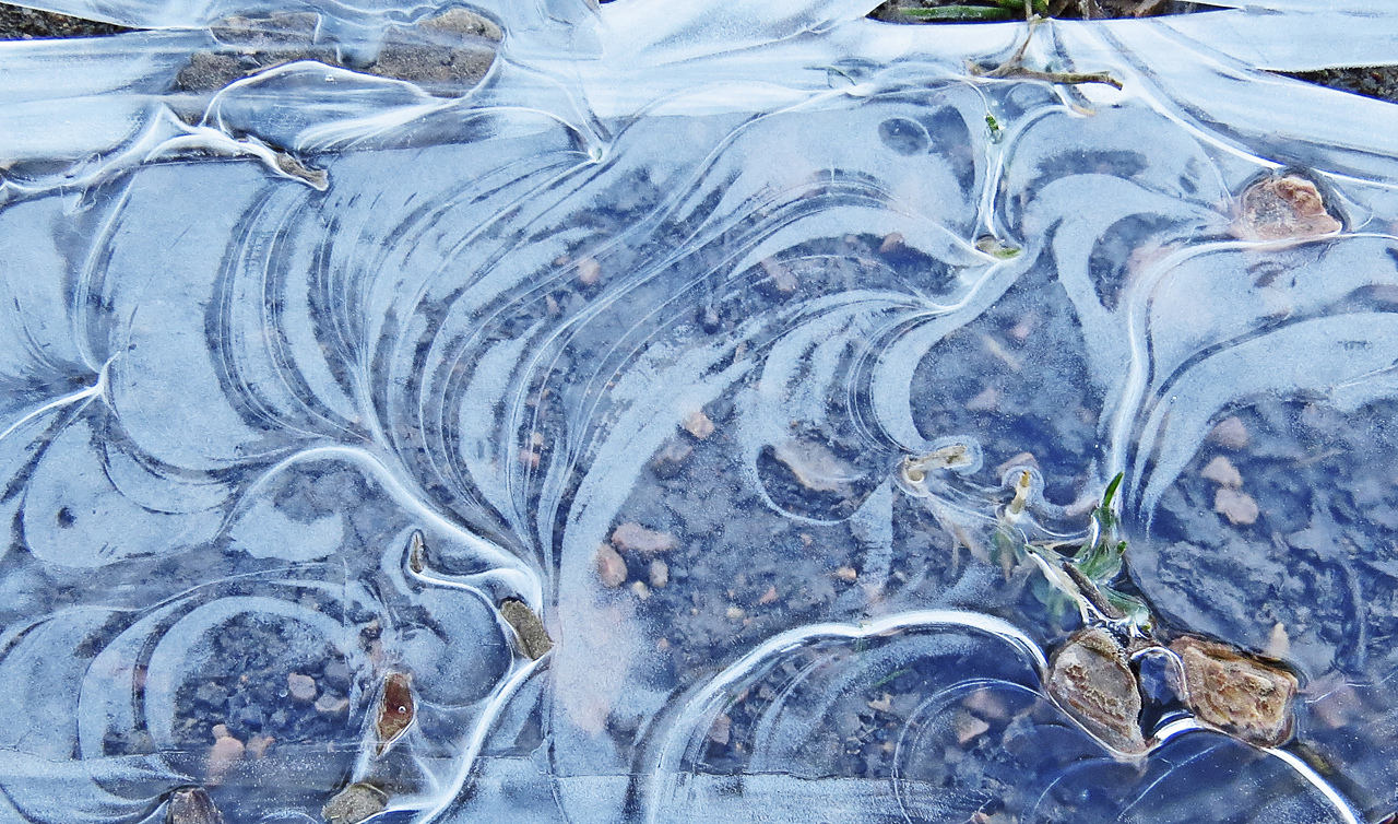 Eiskalter Frühlingsstrauß