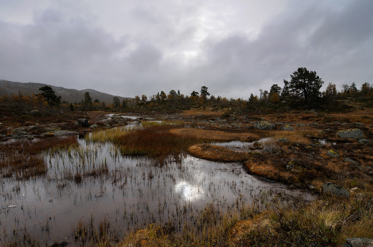 In Norwegen