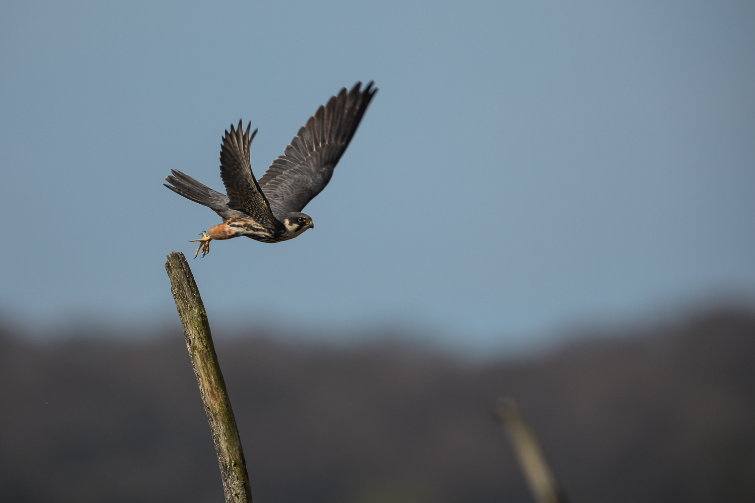 Abflug