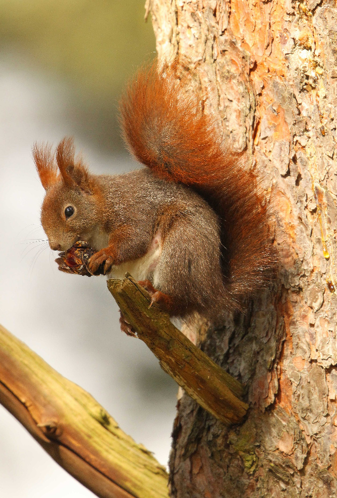 Mir schmeckt´s!