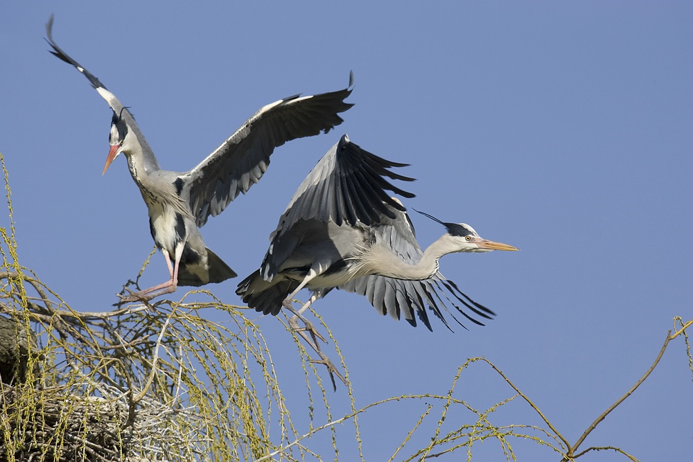 Flugverkehr