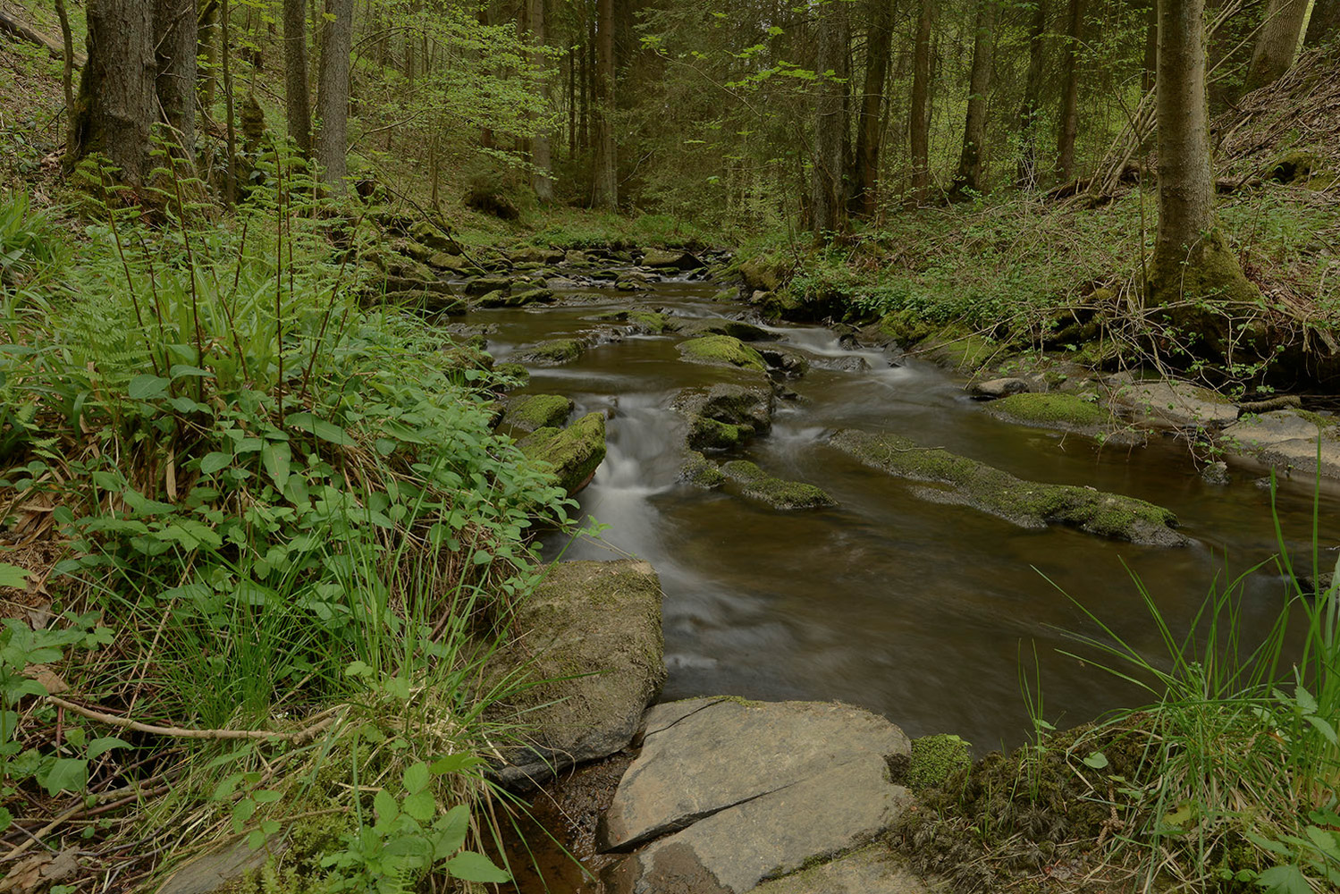 Kalltal