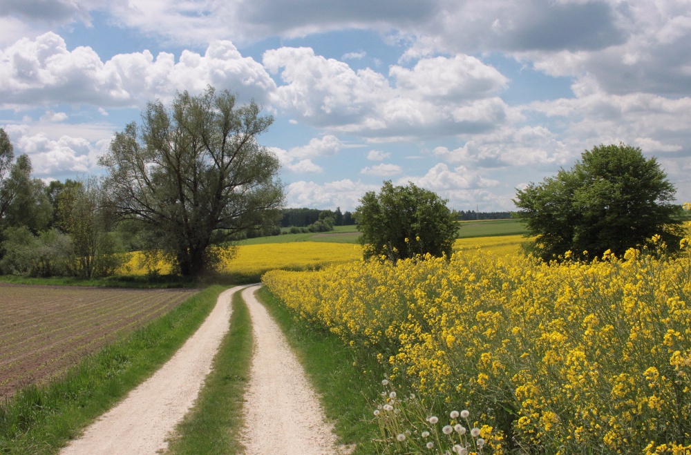 Feldweg