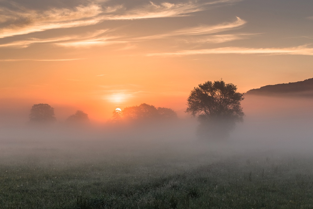 Sonnenaufgang in den Lahn Auen